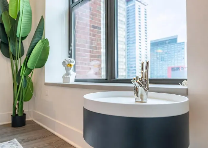 2br South Loop Location With Optional Parking & Gym Access Near Mccormick Place, Shedd Aquarium & Navy Pier